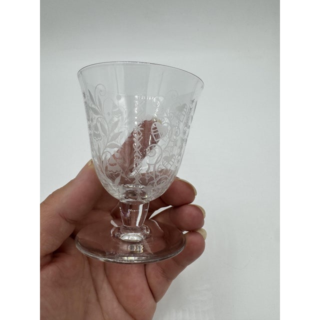 White Wine Glasses with Argentina Pattern from Baccarat, 1940, Set of 5 For Sale - Image 12 of 18