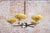 Brown Art Deco Chandelier in Chrome and Beech, Czech, 1920s For Sale - Image 8 of 14