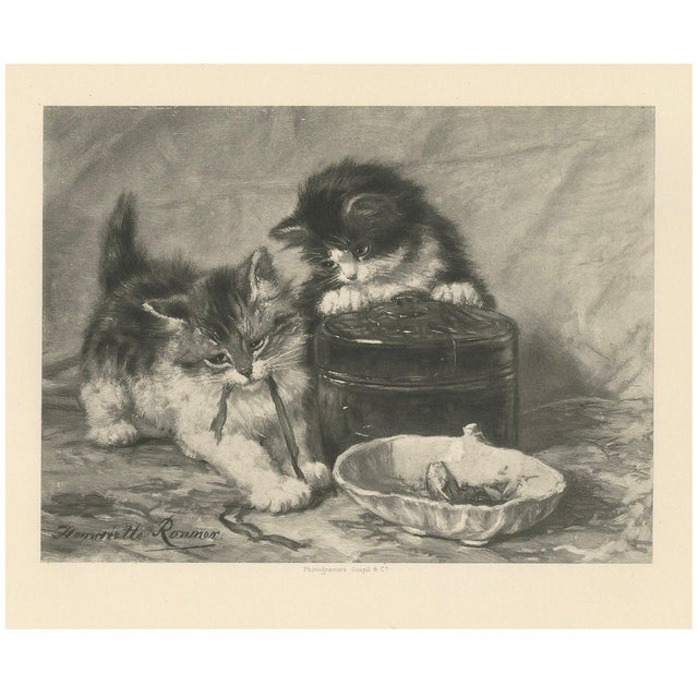 Henriette Ronner, Playful Exploration, Cats and Kittens, 1894, Print For Sale