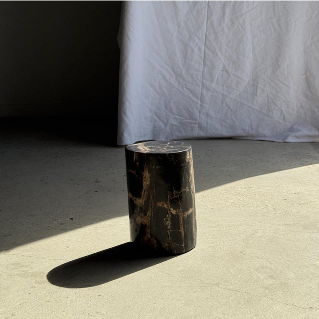 Small Side Table in Black Petrified Wood with Beige Striations, 1980s For Sale - Image 6 of 18