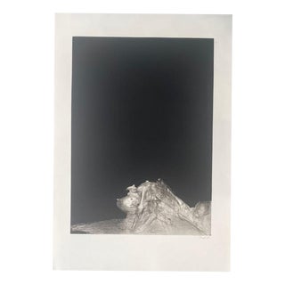 Dado Miodrag Djuric, Untitled, 20th Century, Engraving For Sale