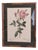 Pierre Joseph Redouté, Botanical of Bengal Rose, 1920s, Lithograph For Sale