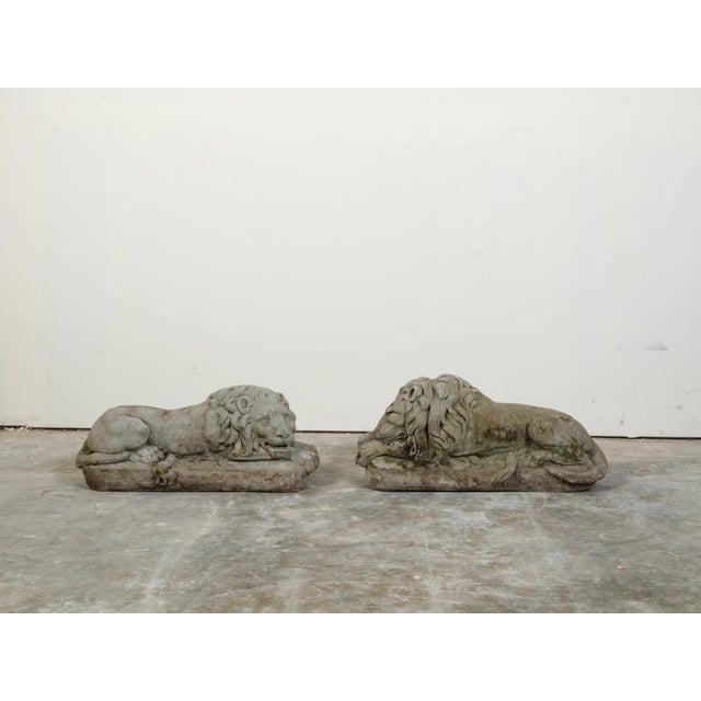 English Pair of English 1920s Cast Stone Reclining Lion Sculptures on Conforming Bases For Sale - Image 3 of 10