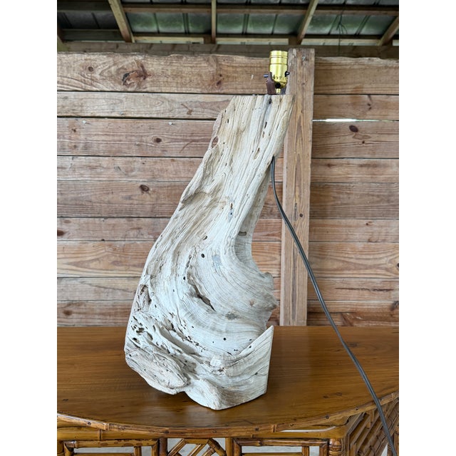 Monumental Sculptural Driftwood Table Lamp, Organic Modern Coastal Decor For Sale - Image 9 of 12