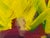 John Fooks Acrylic on Canvas Abstract Painting For Sale - Image 10 of 12