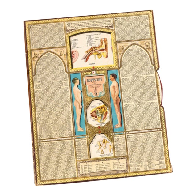 Vintage “Bodyscope” Rotating Anatomical Chart by Ralph H. Segal For Sale