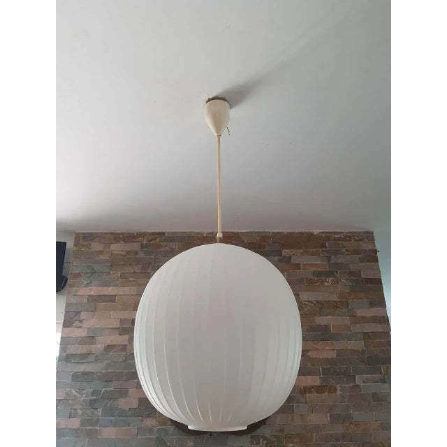 Bologna Pendant Lamp by Aloys Gangkofner for Peill & Putzler, 1950s For Sale - Image 14 of 18