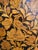 Wood William & Mary Marquetry Longcase Clock by Joseph Windmills London, 1690 For Sale - Image 7 of 18