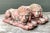 Vintage Cast Cement Garden Lion Figures - Pair For Sale - Image 12 of 12