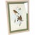 A softly colored 1940 ornithological lithograph after John Gould and H. C. Richter, depicting a pair of Red-breasted...