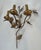 This pair of 3-light wall sconces is made of gilded metal. They are decorated with leaves. This is a French work. Circa 1970