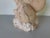 Mid-Century Modern 1980’s Vintage Hand-Carved Marble Tropical Fish Sculpture For Sale - Image 3 of 12