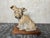 Terracotta Dog Figurine by R. Pollin, 1930 For Sale - Image 9 of 18