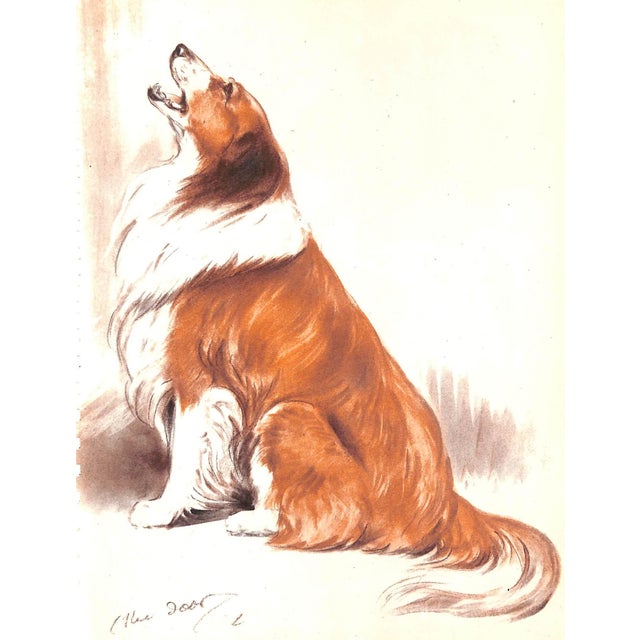 "Diana Thorne's Dogs: An Album of Drawings" 1944 Thorne, Diana For Sale - Image 9 of 12