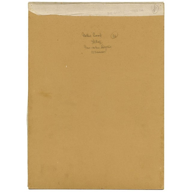 William Neave Parker, Ducks Bird, Mid-20th Century, Gouache Painting For Sale - Image 8 of 9