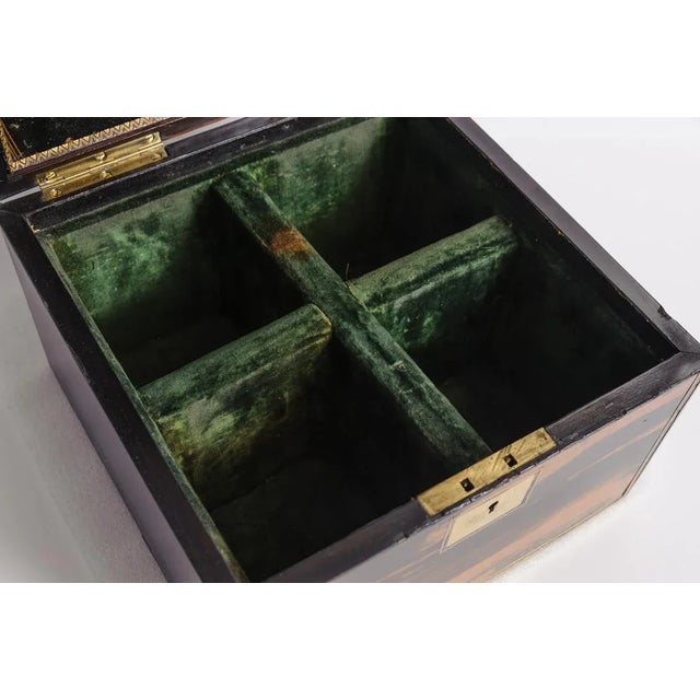 Early 19th Century Antique English Rosewood Cellarette Box For Sale - Image 5 of 8