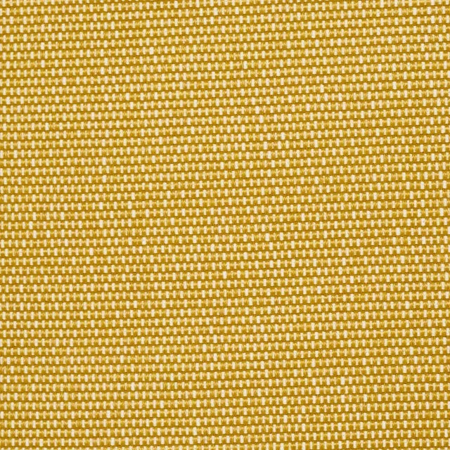 Contemporary Schumacher Cooper Indoor/Outdoor Fabric In Yellow For Sale - Image 3 of 3