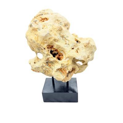 Tribal Indonesian Coral Stone On Teak Stand For Sale - Image 3 of 5