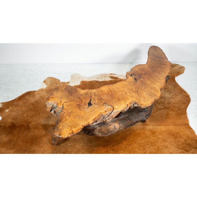 Brown Vintage American Primitive Burlwood Live Edge Coffee Table For Sale - Image 8 of 18