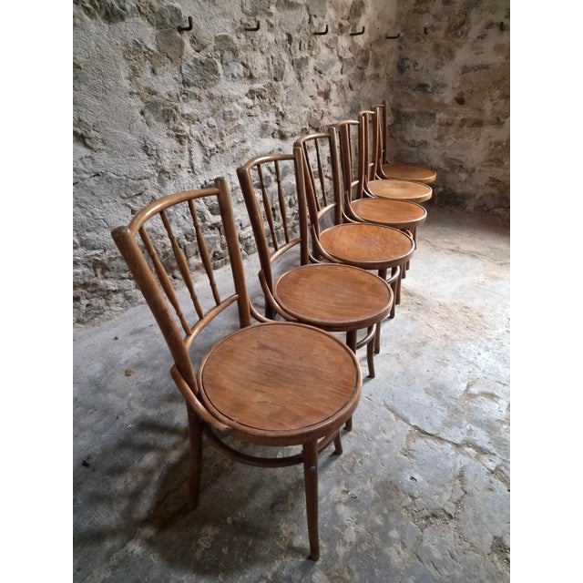 Bentwood Bistro Chairs from Fischel, Former Czechoslovakia, 1930s, Set of 6 For Sale - Image 11 of 18