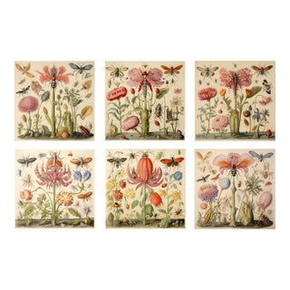 Gallery Wall Installation 'Insects and Flowers' Botanical Floral Prints | Unframed For Sale