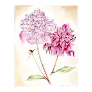 Vintage Style Floral, Peonies Original Mixed Media Drawing by Kathleen Ney For Sale