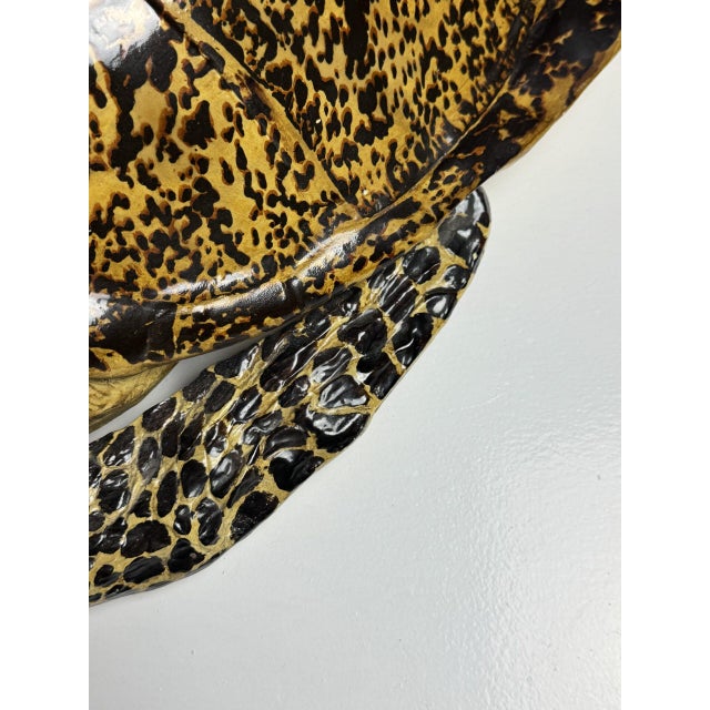 Realistic Plastic Turtle For Sale - Image 13 of 18