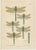 Dragonflies of Central Europe, 1908, Lithograph, Set of 3 For Sale - Image 3 of 14