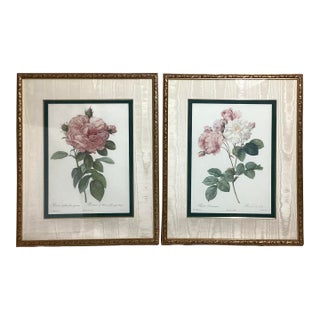 1970s Beautiful Pair of Framed Botanical Prints, Pierre-Joseph Redouté for the Bombay Company For Sale