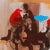 Modern 'Steeplechase, Los Altos Hunt' by Frank Ashley, St. Martin's School, Pennsylvania Academy of Fine Arts, Art Students' League, Carmel Art Association For Sale - Image 3 of 10