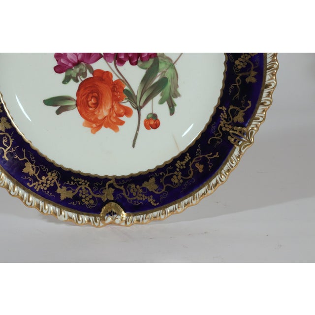 Coalport Porcelain Botanical Plates, Set of Twelve, John Rose For Sale - Image 15 of 16