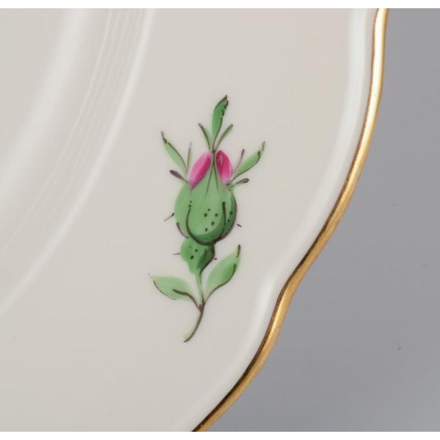 Ceramic German Dinner Plates from Meissen, 1920s, Set of 4 For Sale - Image 7 of 10