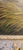 Paint 1980s Oil Painting After George Moreland by Chelsea House For Sale - Image 7 of 10