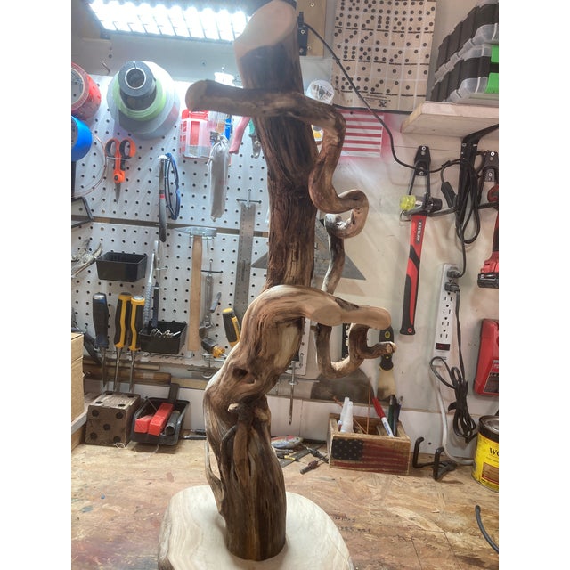Tree Table Lamp With Live Edge Base and Root Upper. For Sale - Image 14 of 16