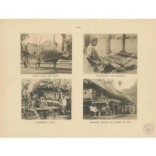 E.J. Brill,Twelve Aceh Atjeh, 1895, Print For Sale
