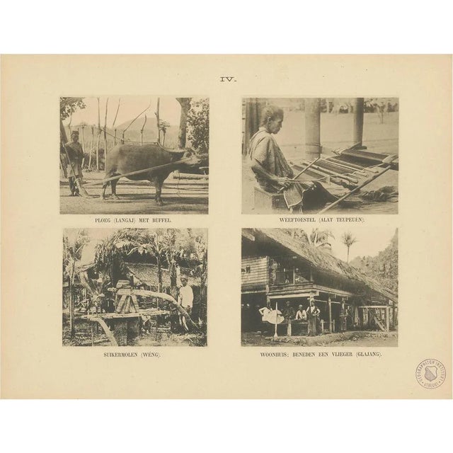 E.J. Brill,Twelve Aceh Atjeh, 1895, Print For Sale