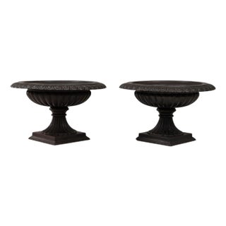 1900s French Cast Iron Tazza Urn Planters - A Pair For Sale