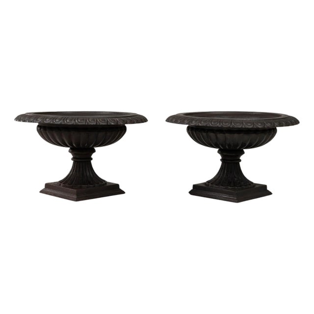 1900s French Cast Iron Tazza Urn Planters - A Pair For Sale