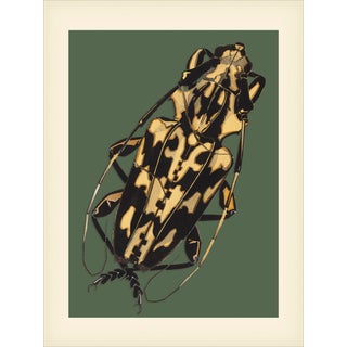 Bugs by Seguy #7 Reproduction For Sale