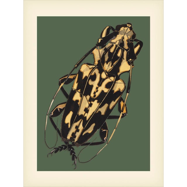 Bugs by Seguy #7 Reproduction For Sale