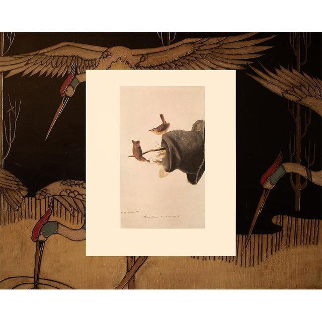 Paper 1966 Vintage Farmhouse Cottage Print "House Wren" After John James Audubon For Sale - Image 7 of 8