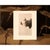 Paper 1966 Vintage Farmhouse Cottage Print "House Wren" After John James Audubon For Sale - Image 7 of 8