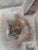 Pair of Silver Plated Ewers For Sale - Image 17 of 17