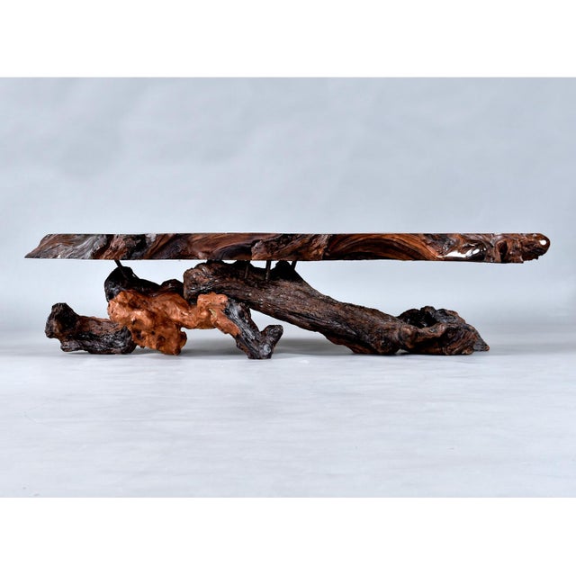 George Nakashima Nakashima Style Live Edge Redwood Burl Root Stump Slab Coffee Table For Sale - Image 4 of 18