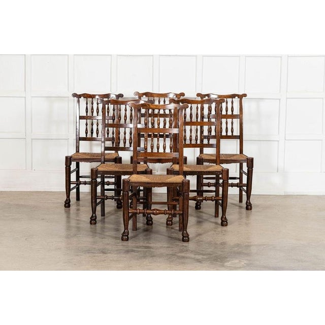 19th Century Farmhouse English Oak Harlequin Rush Spindle Back Dining Chairs, 1880, Set of 6 For Sale - Image 4 of 13