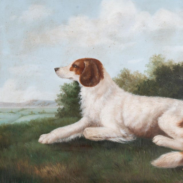 Original oil on canvas painting of dog. Signature in bottom right corner. Small puncture seen above nose. Photo of back...