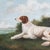 Original oil on canvas painting of dog. Signature in bottom right corner. Small puncture seen above nose. Photo of back...