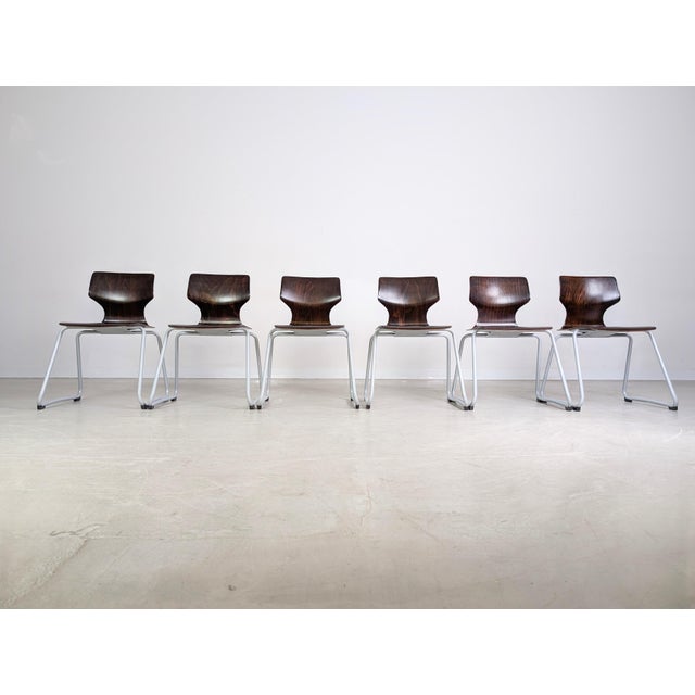 Mid-Century Modern Mid-Century Paved Wooden Chairs, Set of 6 For Sale - Image 3 of 11