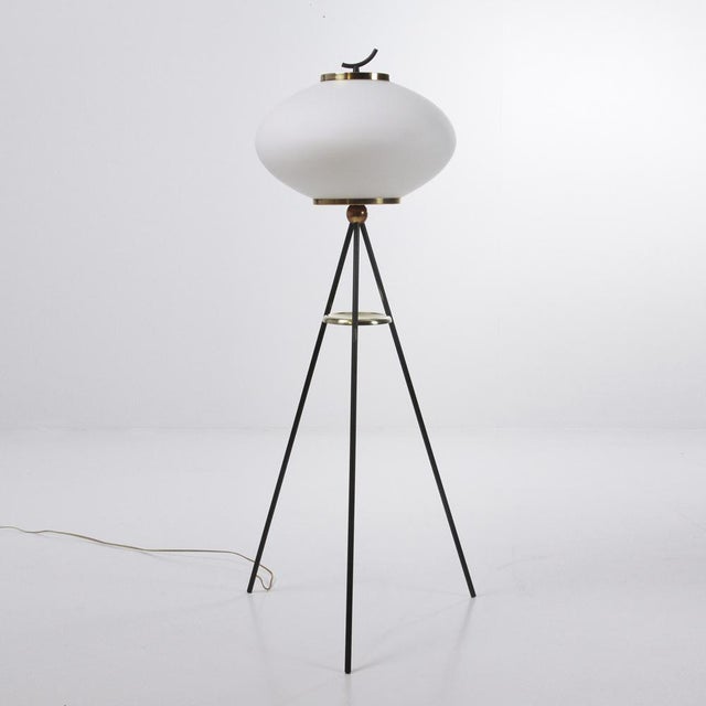Floor Lamp in Opaline Glass and Brass, 1950s For Sale - Image 12 of 12
