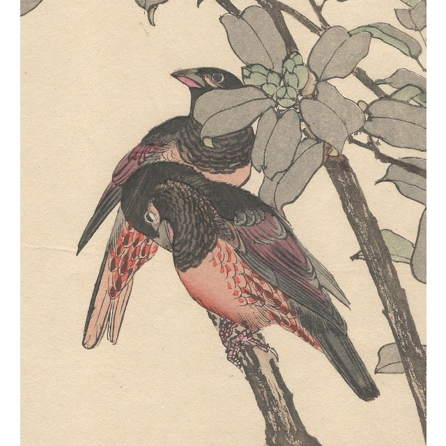 Imao Keinen, Keinen Kacho Gafu, 1892, Print For Sale - Image 3 of 12